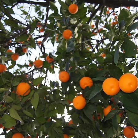 Metropol 23 Albergue Tirana