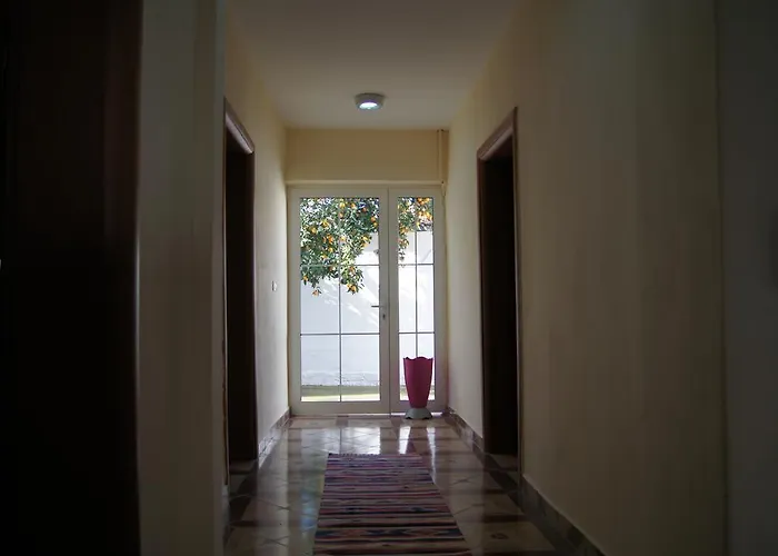 Metropol 23 地拉那