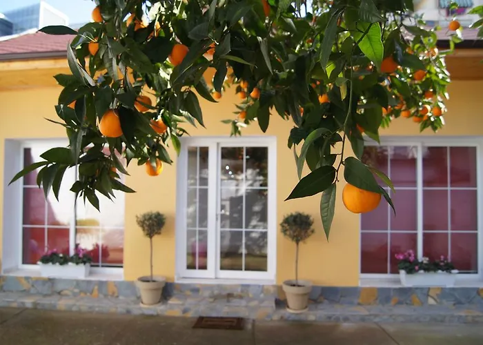 Metropol 23 地拉那